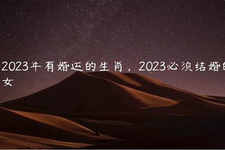 2022年有婚运的生肖