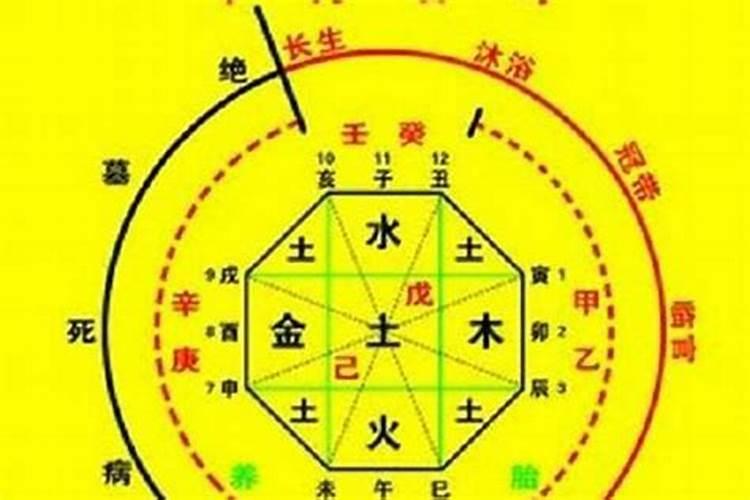 数字神断预测财运