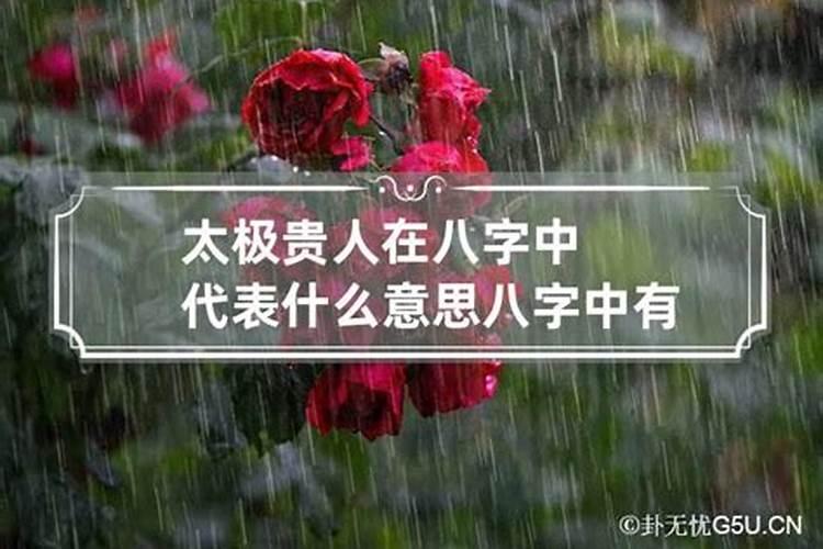 八字里各种贵人的含义