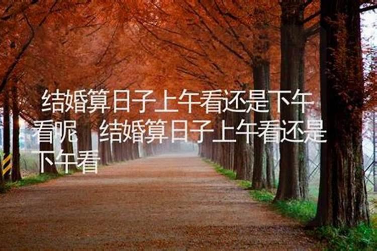 算婚姻分上午下午吗