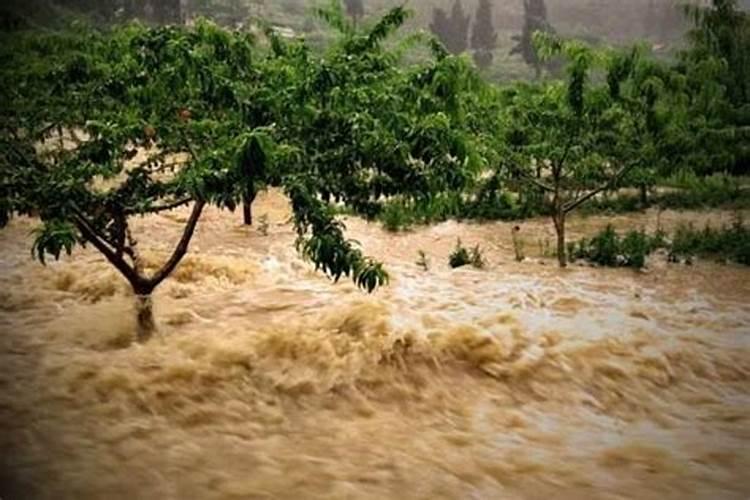 梦见家乡发大水被水淹好不好