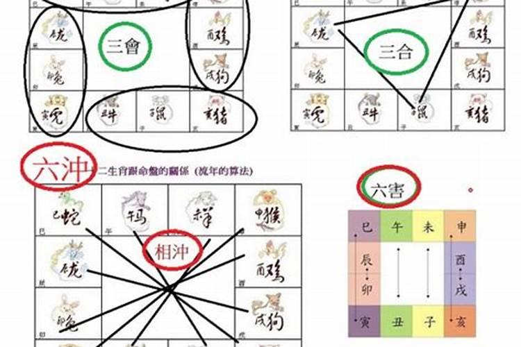 属相犯六冲婚姻怎样