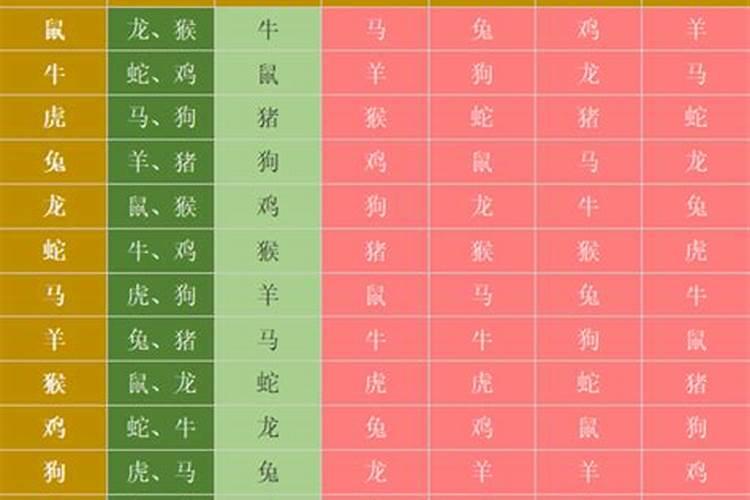 属相犯六冲会危害什么