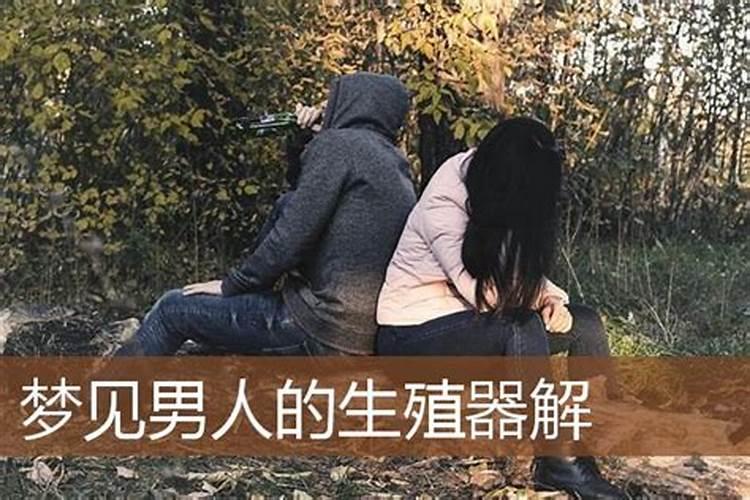 梦见男人的生殖什么意思