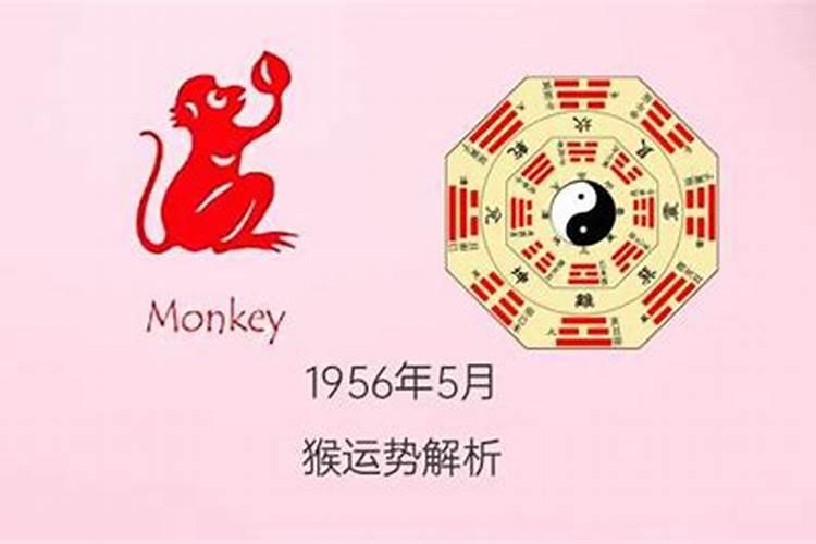 1956年生肖猴命运