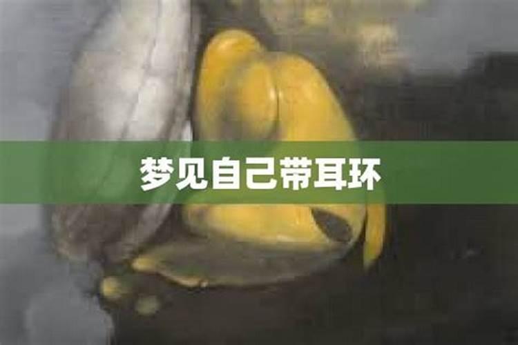 梦见别人送耳环给自己并带在耳朵上很漂亮