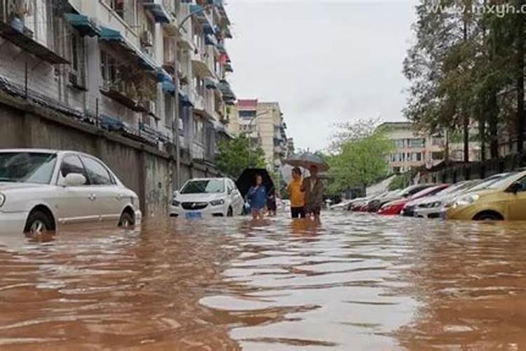 梦见下暴雨涨洪水被人救上岸