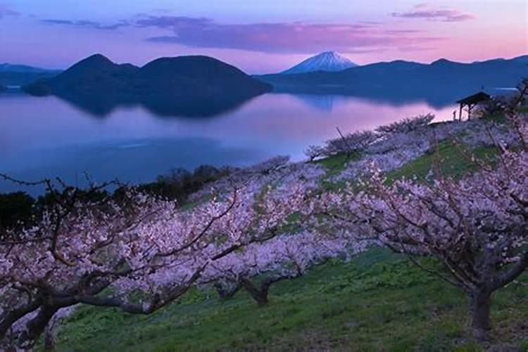 历年农历除夕是哪一年