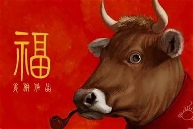 今年属什么运势好