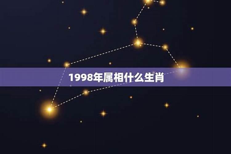 1998年属虎的和1991年属羊的婚姻