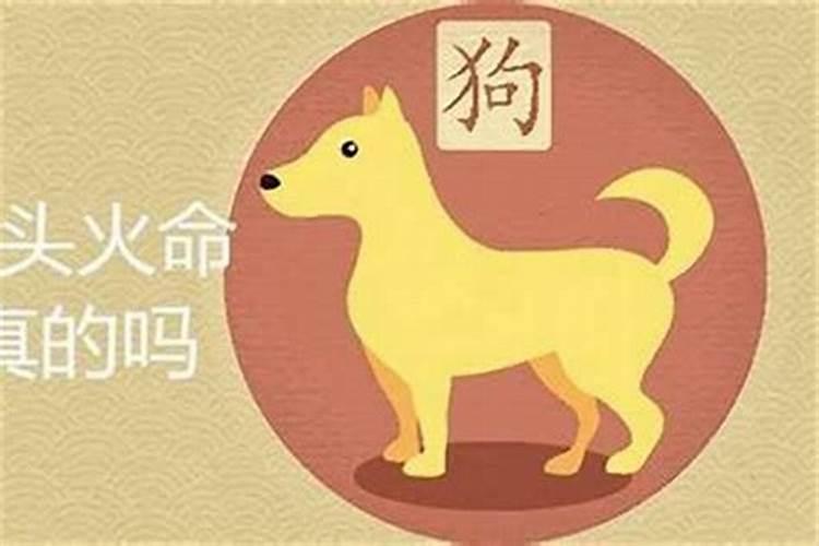 八字合犬的生肖是什么生肖