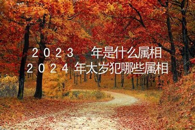 立冬好运星座2023年