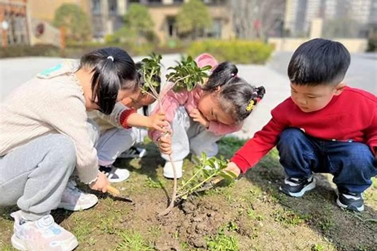 清明节有植树这个活动