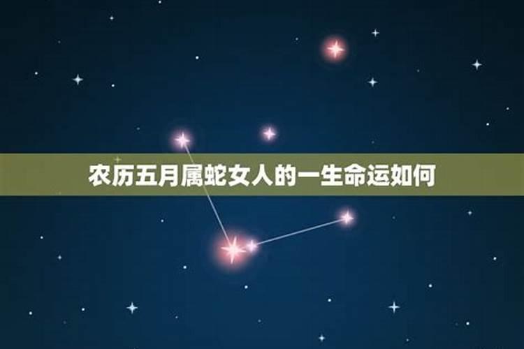 属蛇阳历5月份运势如何