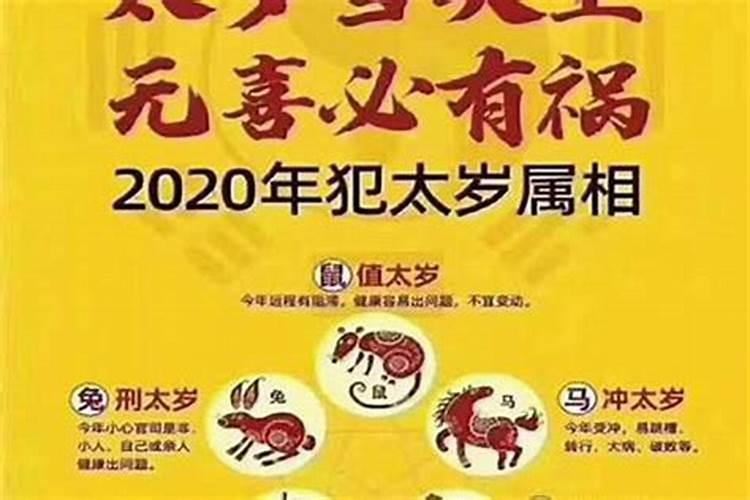 属狗的70年出生的今年运气怎么样呢女