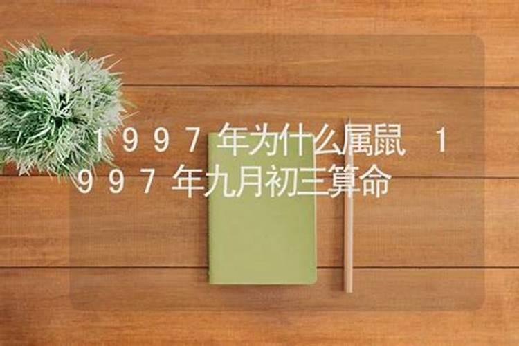 属鼠1997年出生什么命格