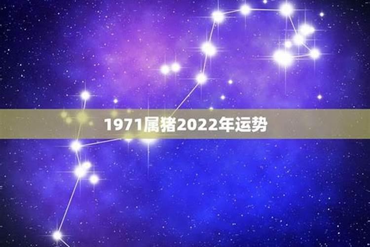 71年属猪的2022年运程