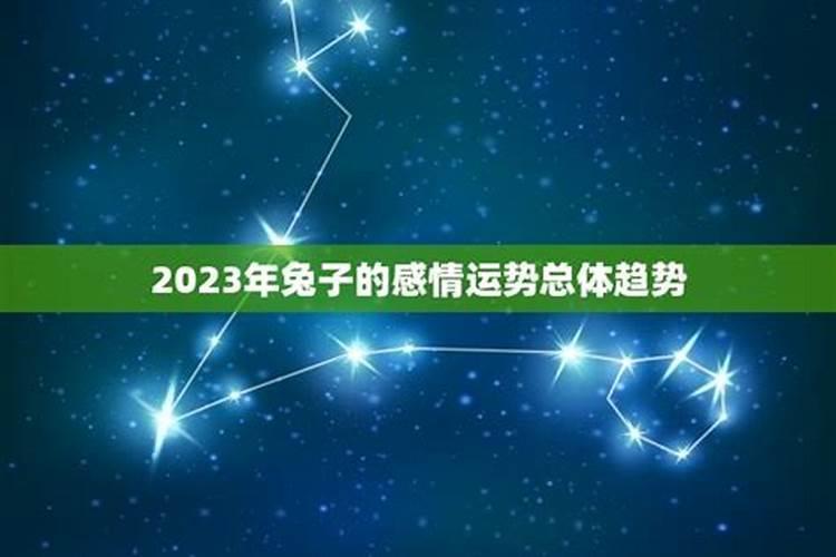 兔今年的感情运势如何