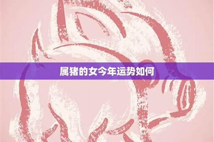 腊月属猪女运气和婚姻如何