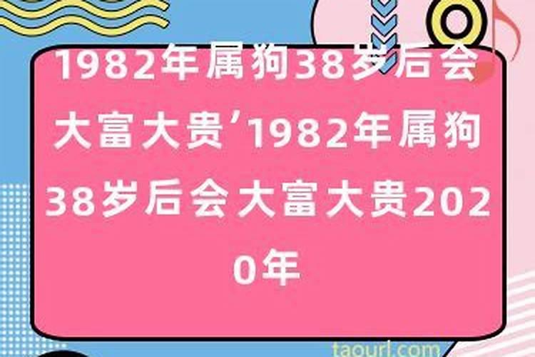 属狗38岁以后大富大贵