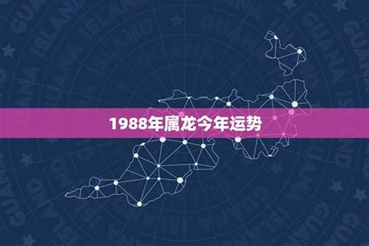 1988年出生今年运势