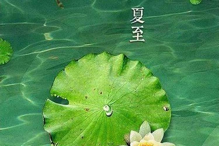 哪天是夏至夏至24节气当中的夏至