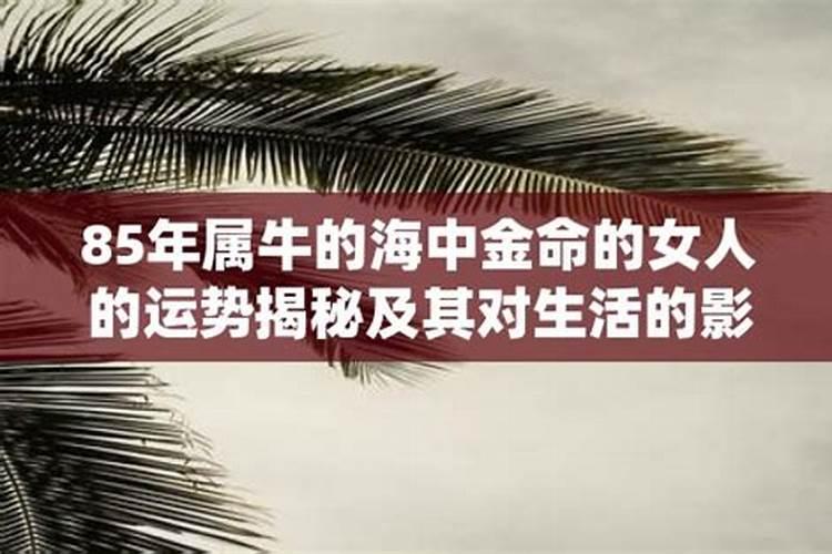 海中金命的女人的命运