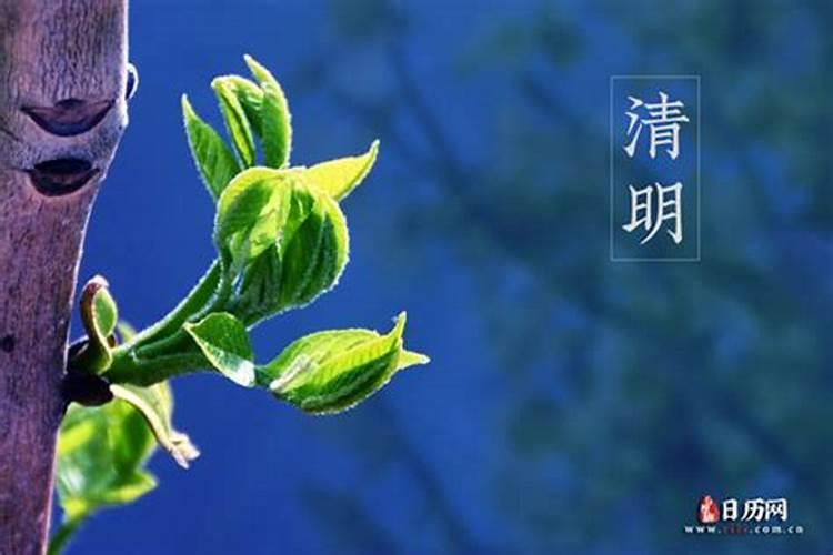 清明节前几天是什么节日