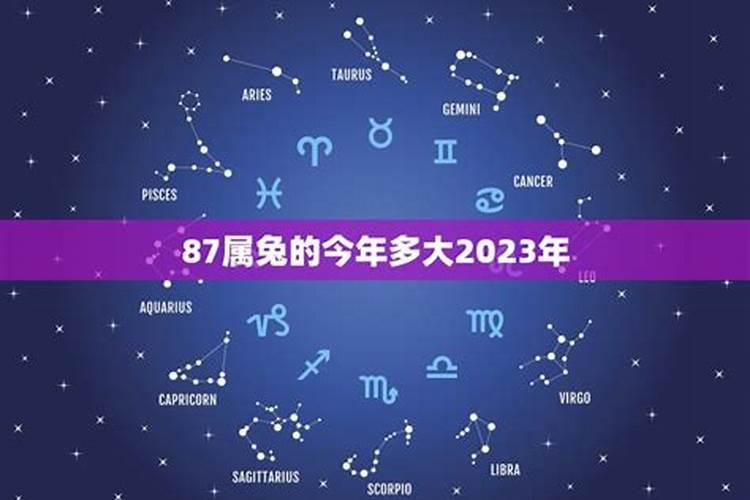 属兔今年多大年龄2023年