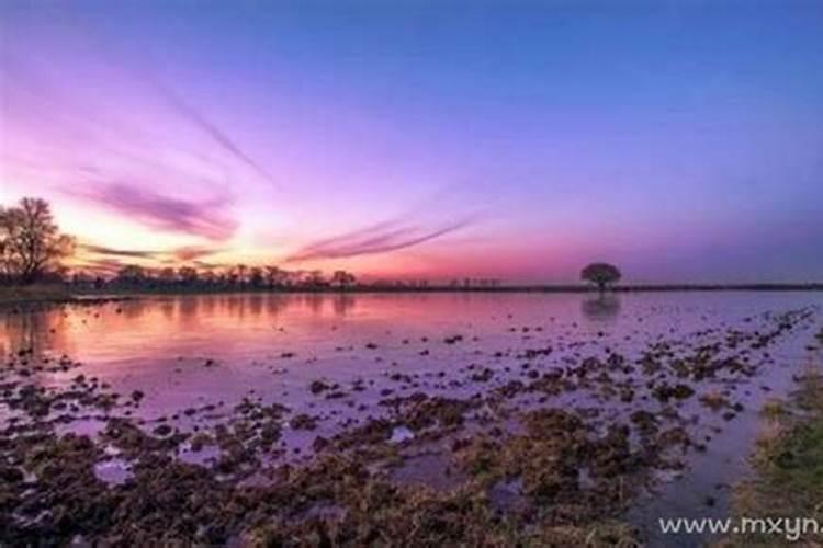 梦见流动的浑水