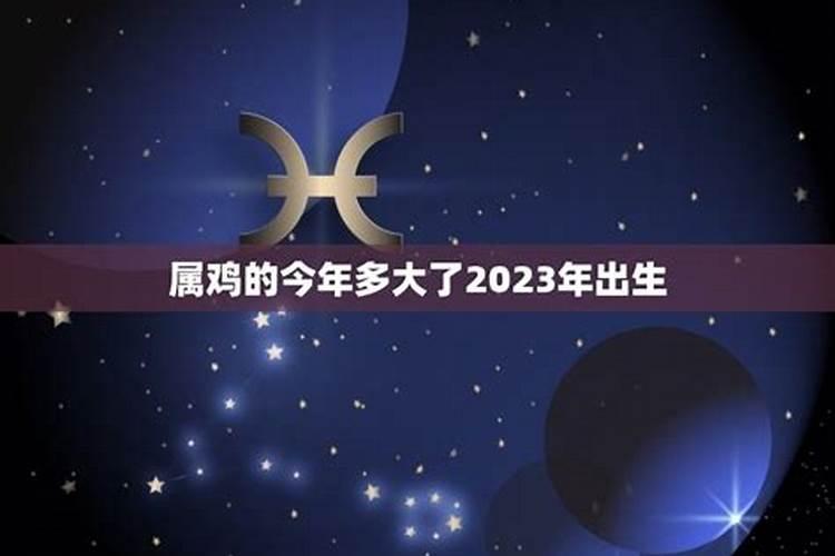 属猪的今年多大2023年