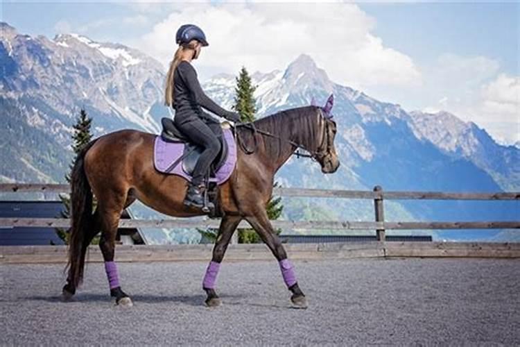 女生做梦梦到骑马回家