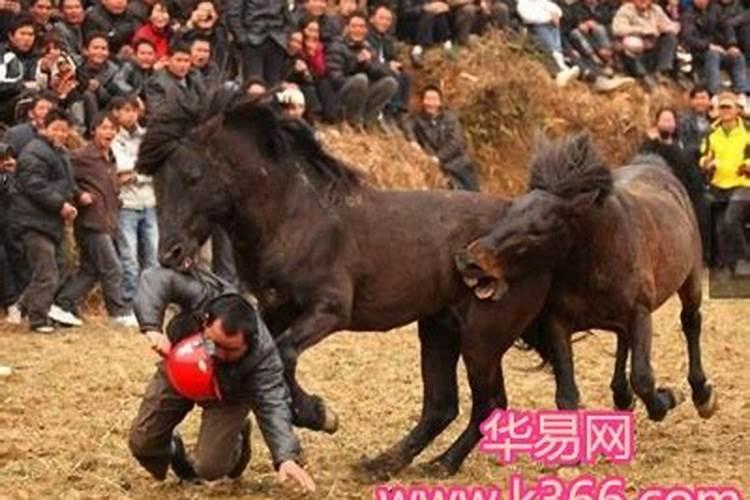 重阳节登山深圳的风俗