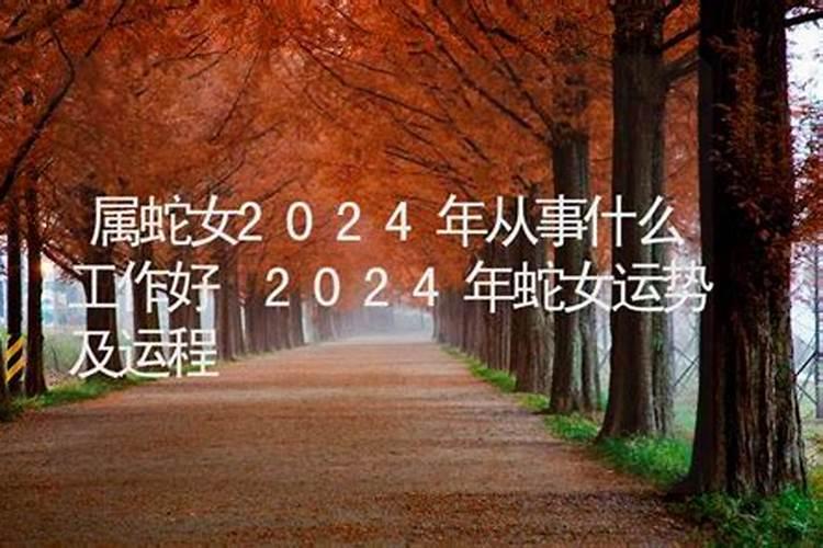 属蛇的2024年运势怎么样女1977