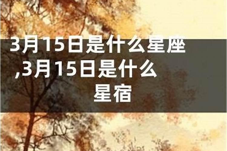 82年3月15日是什么星座