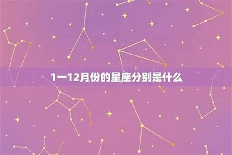 12是什么星座