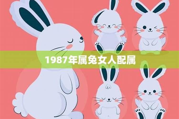 87年属兔的女人