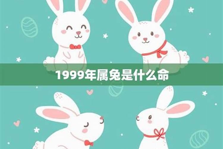 1999年属兔是什么命2021年运势