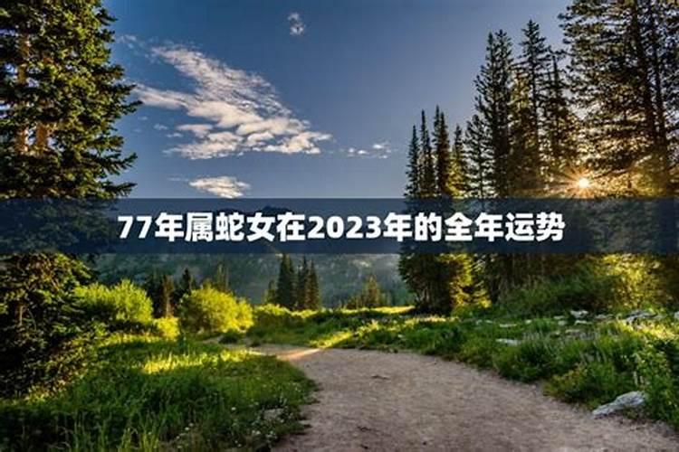 77年属蛇女在2023年的运势