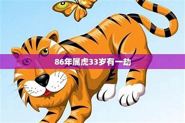 属虎36岁本命年简短精辟感言