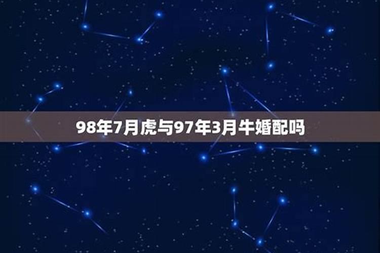 91年羊女2024年8月运势如何