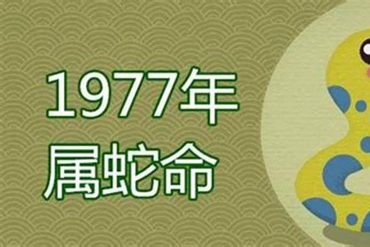 属蛇1977年出生的是什么命