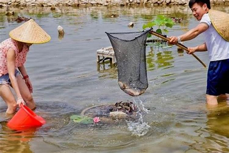 梦见发洪水有好多死鱼什么意思