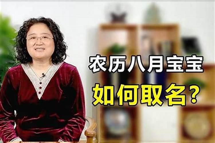 2023年的属什么生肖运势如何