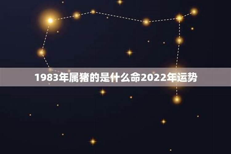 1983年女主2022年每月运势