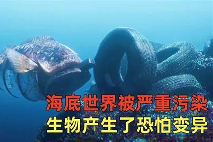 梦到被变异海洋生物追赶