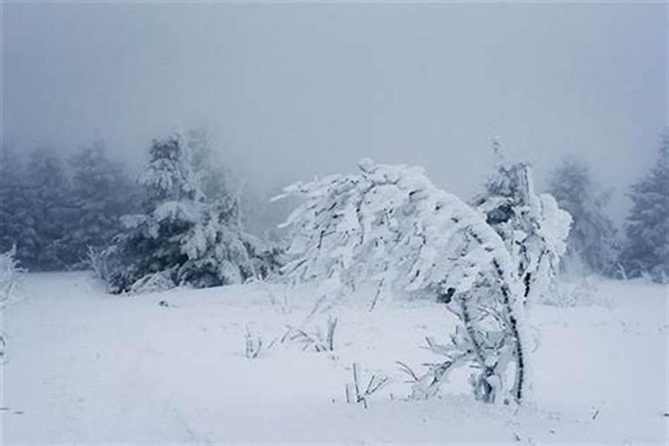 梦见暴风雪是什么征兆