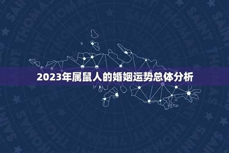 鼠年2月份出生在今年的婚姻运程