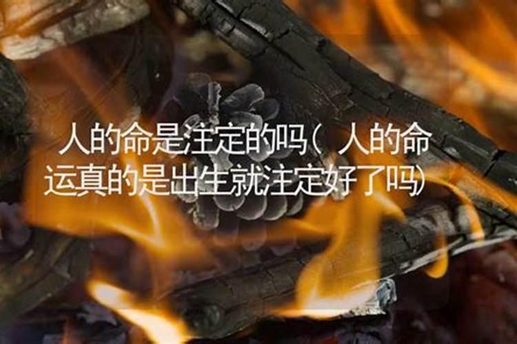 人的命运是不是注定的