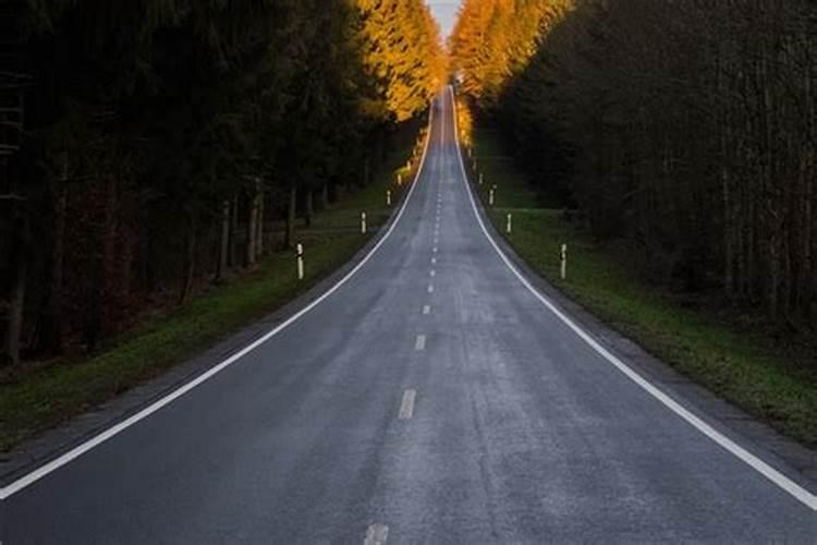 梦见骑车道路受阻了什么预兆